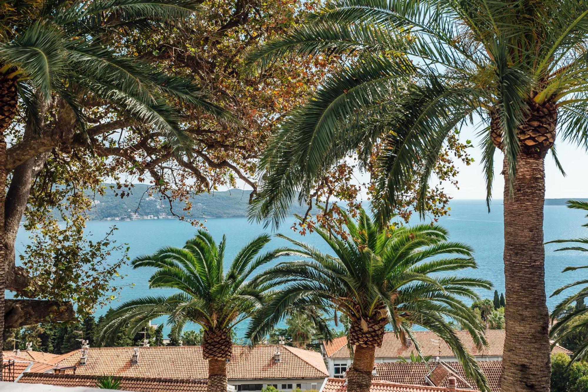 Apartments Belvedere Herceg Novi Bilik gambar
